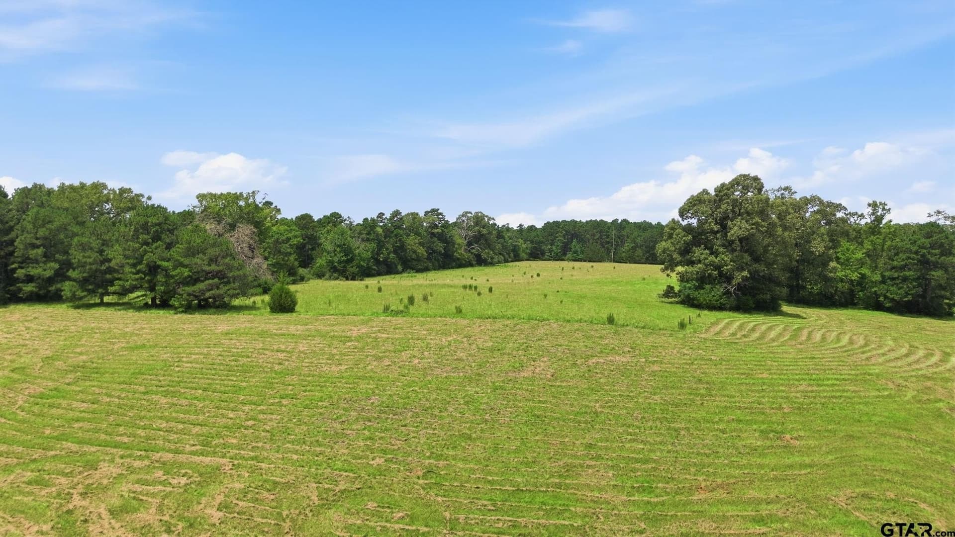 65.97 acres in Houston County - photo 42