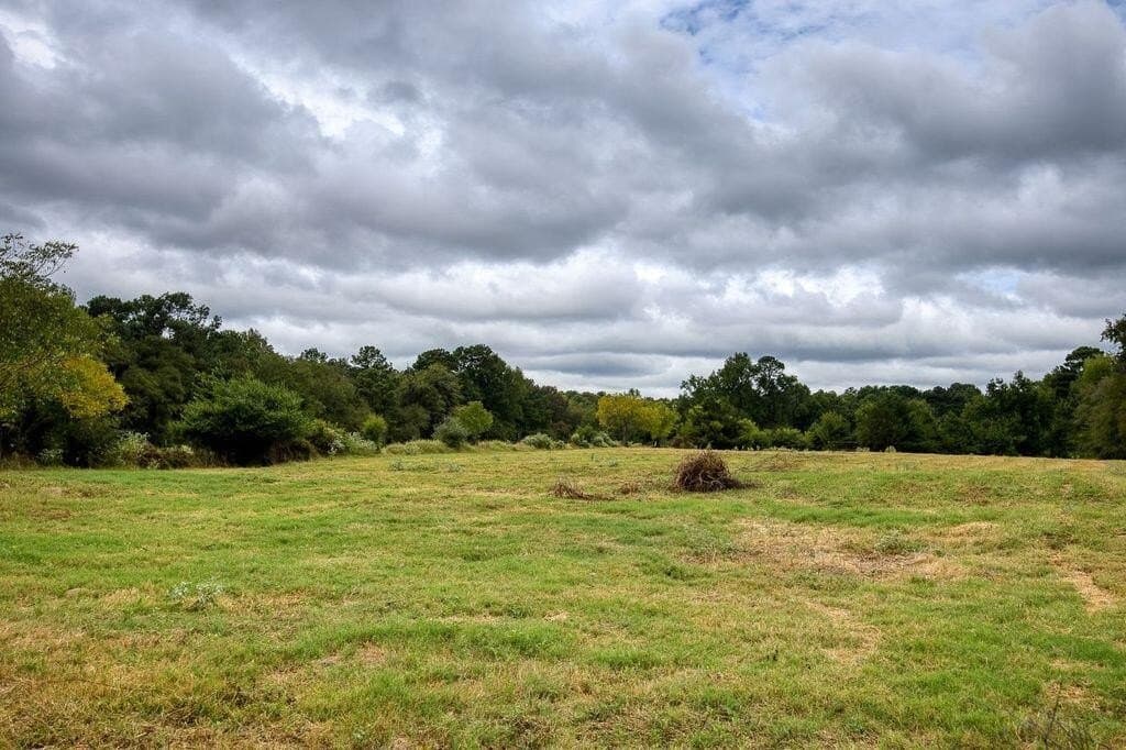 19 acres in ANDERSON County - photo 7