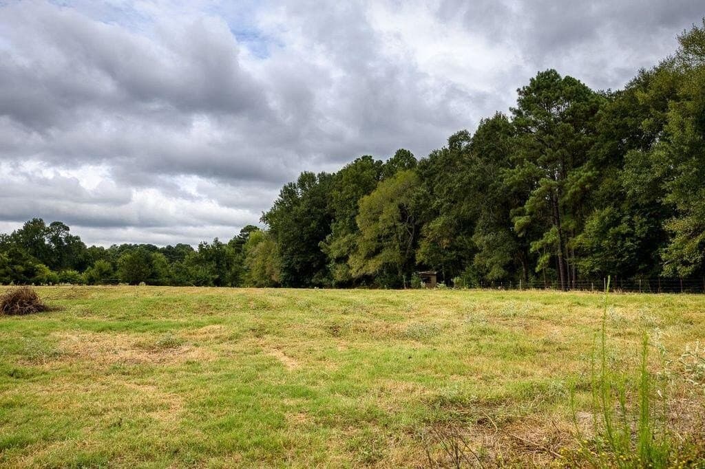 19 acres in ANDERSON County - photo 6