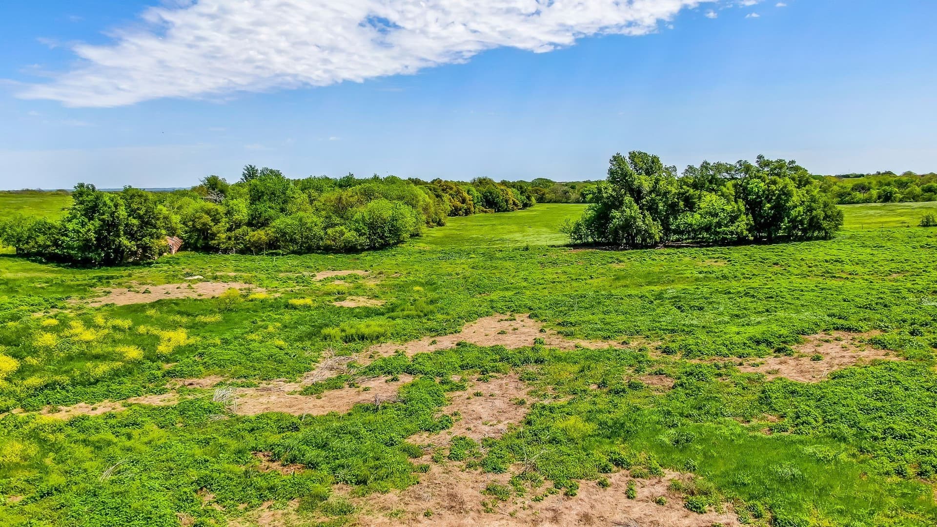 10 acres in Erath County - photo 7