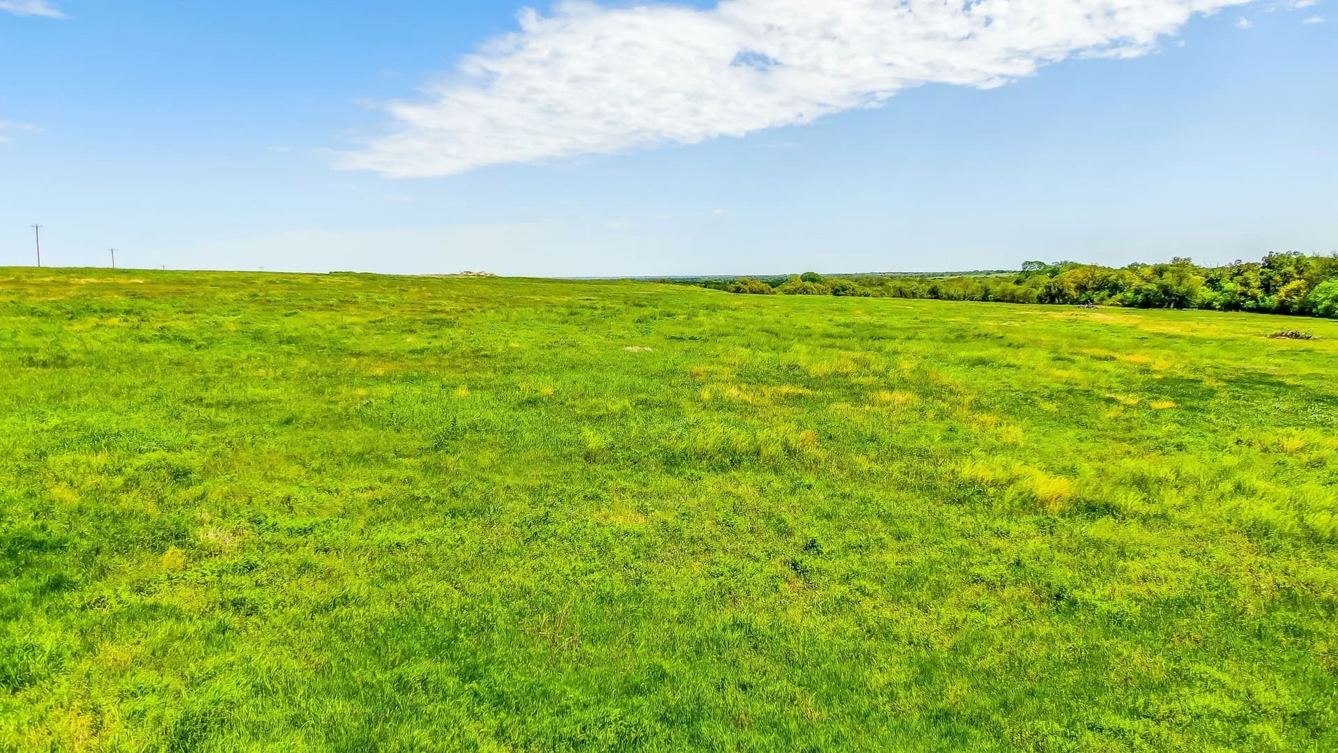10 acres in Erath County - photo 9