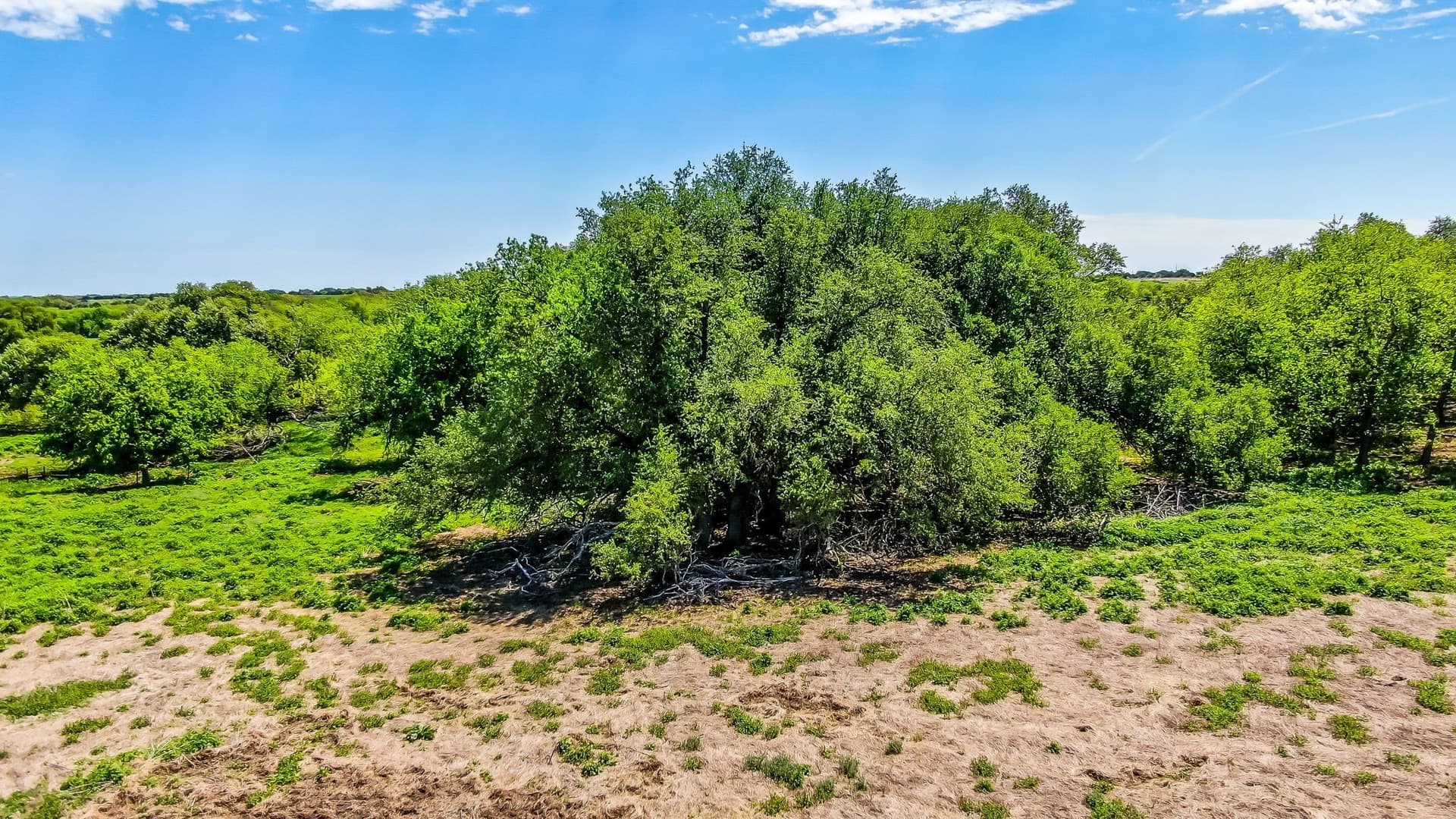 10 acres in Erath County - photo 6