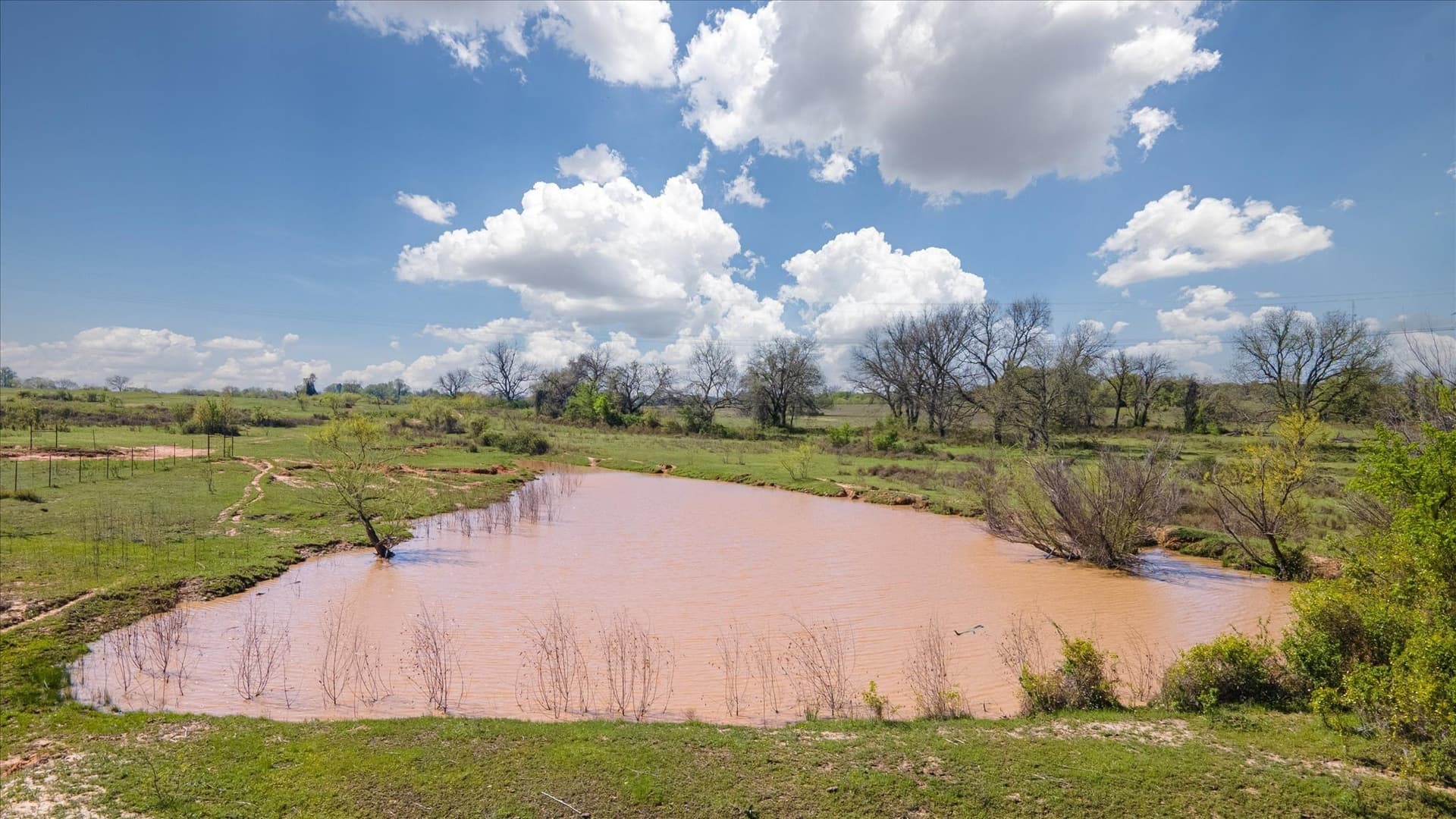 90 acres in Wise County - photo 16