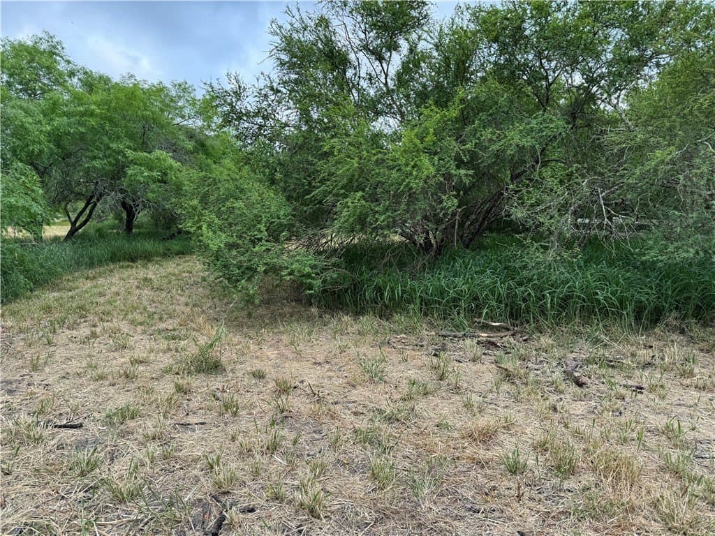 5 acres in Nueces County - photo 7