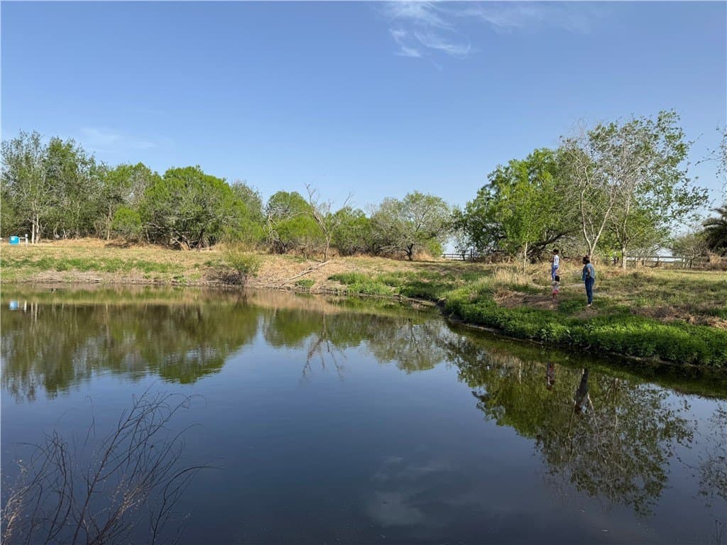5 acres in Nueces County gallery image 2