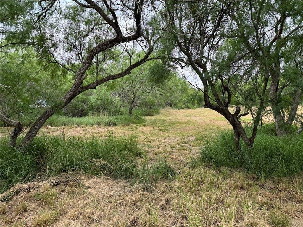 5 acres in Nueces County gallery image 3