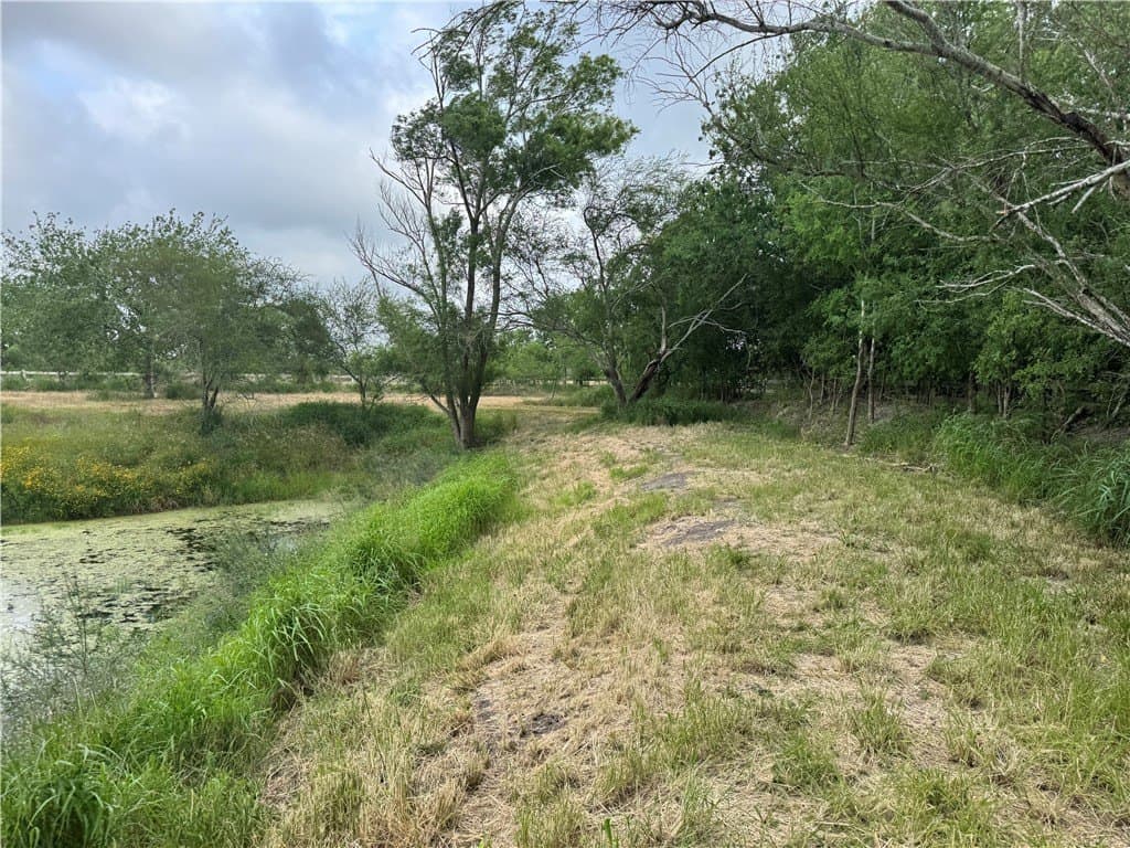 5 acres in Nueces County featured view