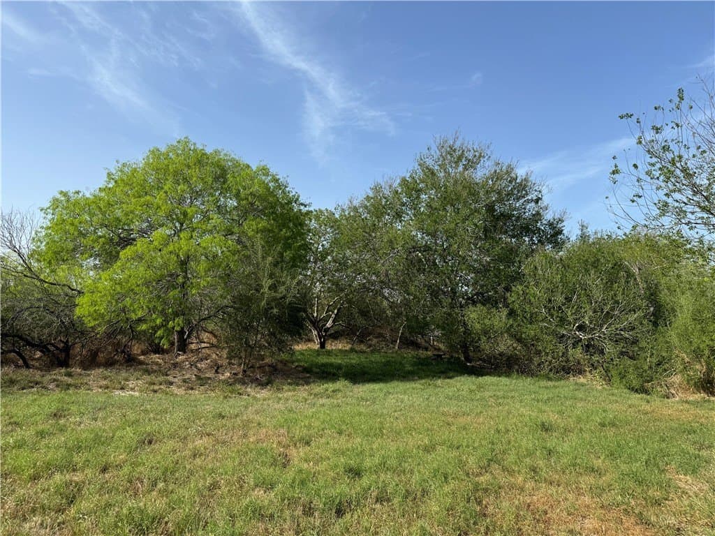 5 acres in Nueces County - photo 9