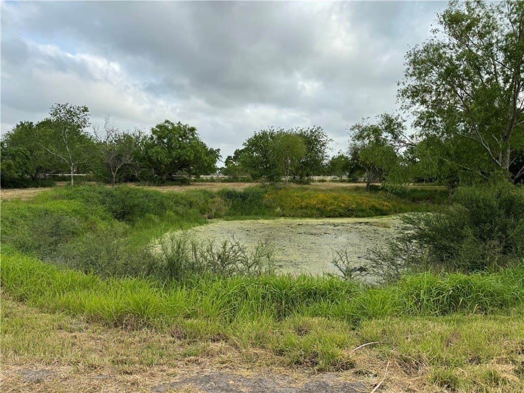 5 acres in Nueces County - photo 6