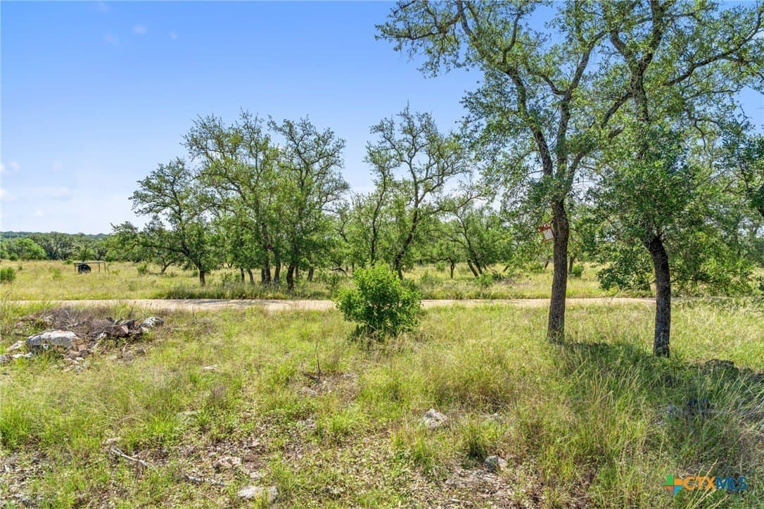 25 acres in Blanco County - photo 27