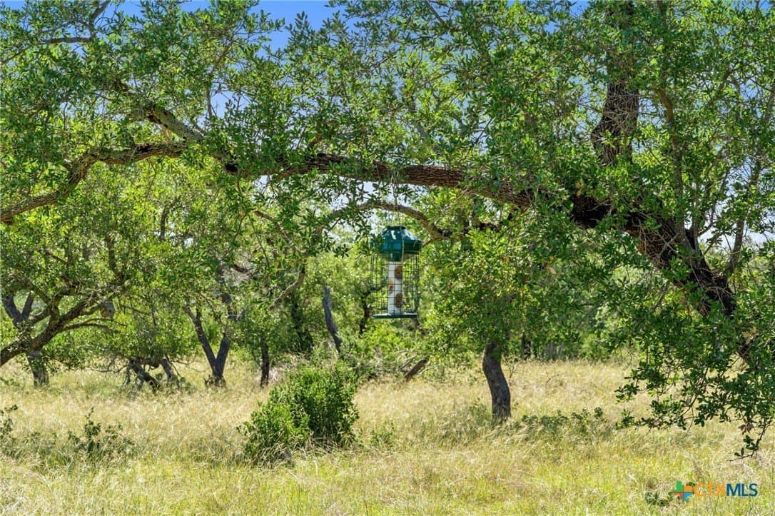 25 acres in Blanco County - photo 15