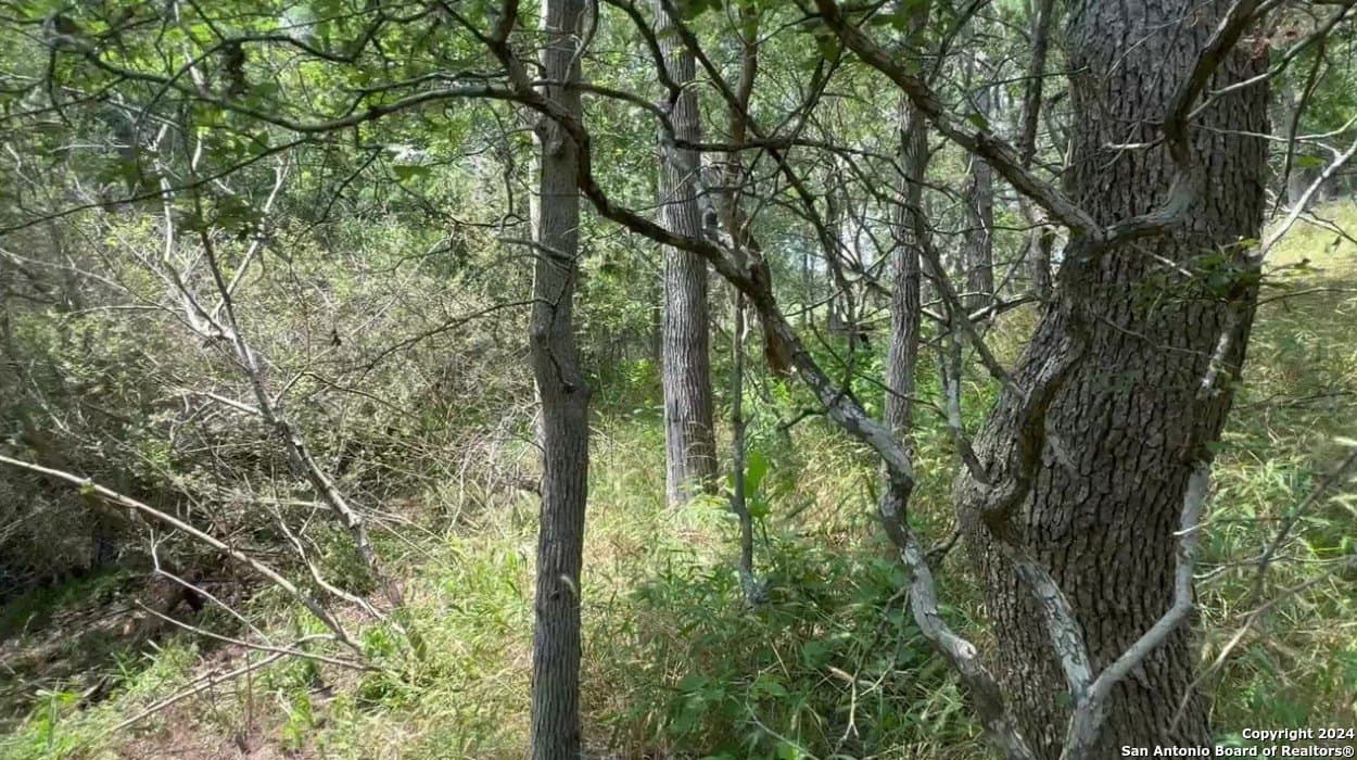 0.37 acres in Bastrop County featured view