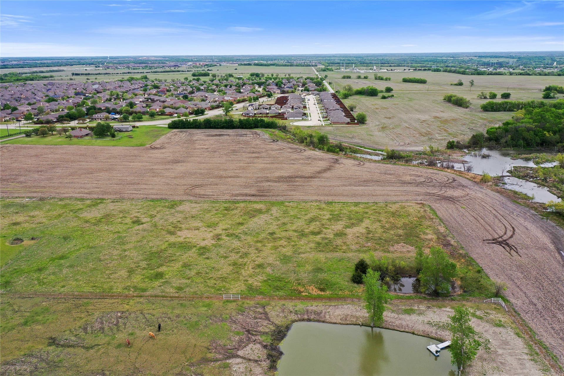 6 acres in Collin County - photo 6