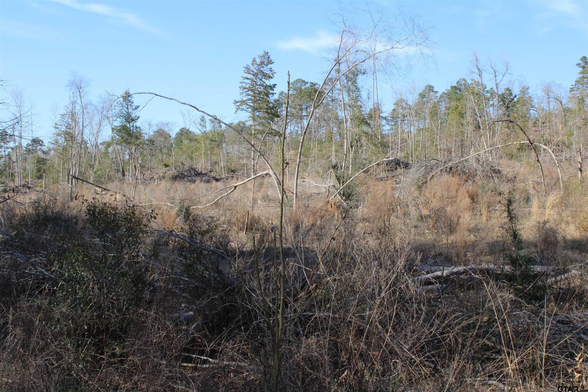 10.05 acres in Cherokee County - photo 7