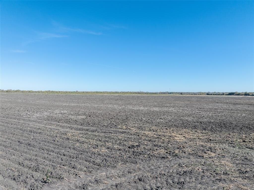 650.18 acres in Lamar County gallery image 4