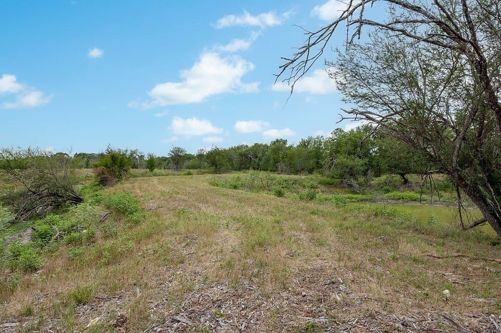 70.9 acres in Austin County - photo 13
