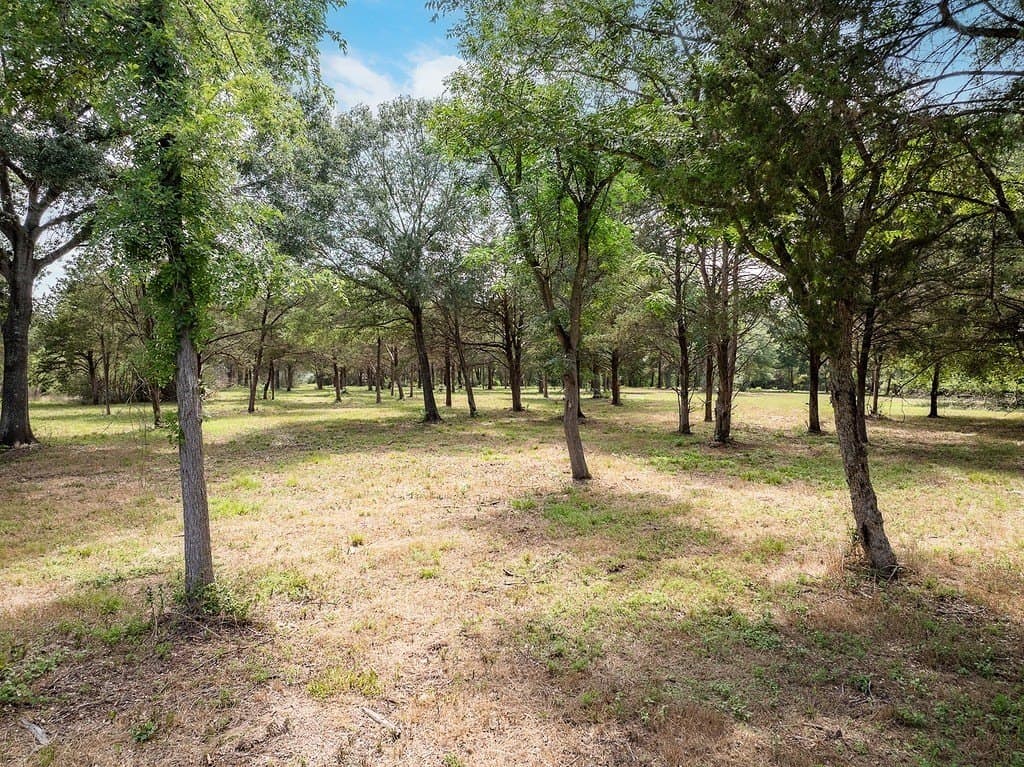 70.9 acres in Austin County - photo 23
