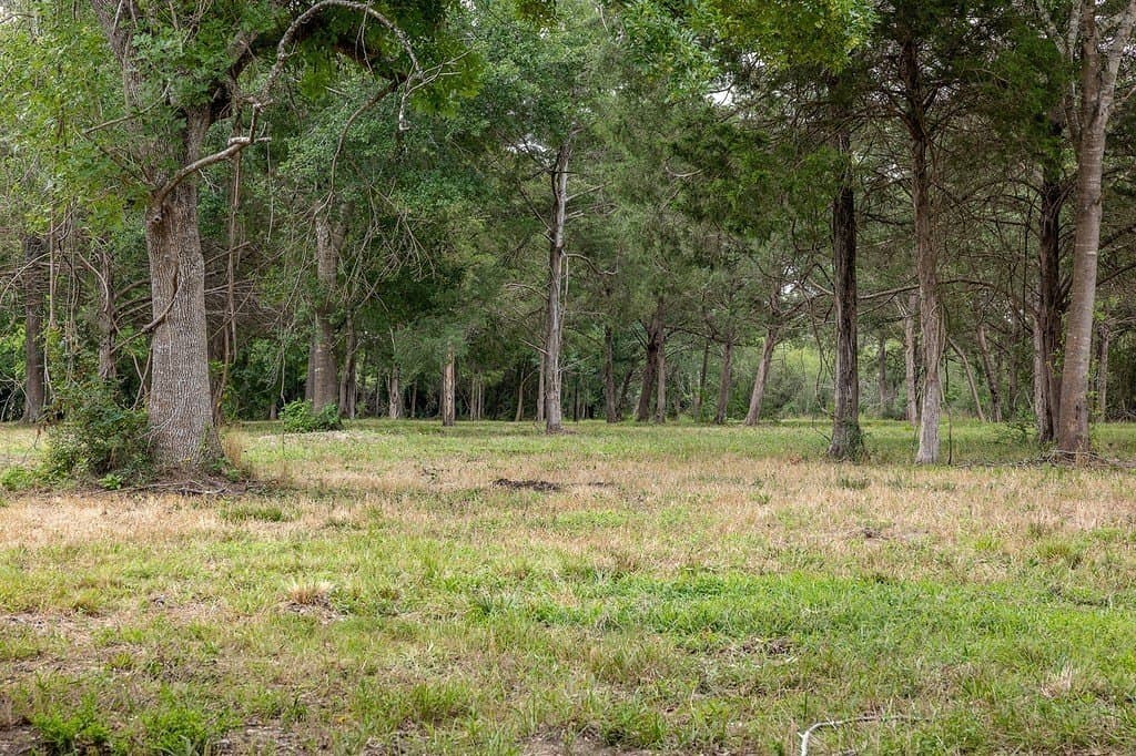 70.9 acres in Austin County - photo 19