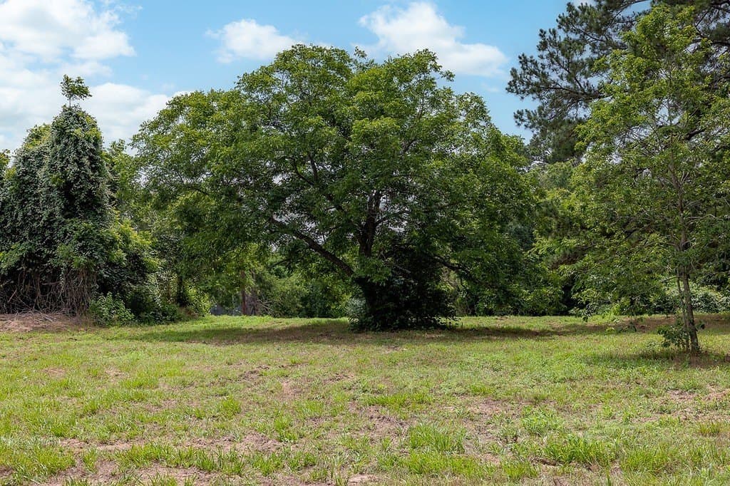 70.9 acres in Austin County - photo 29