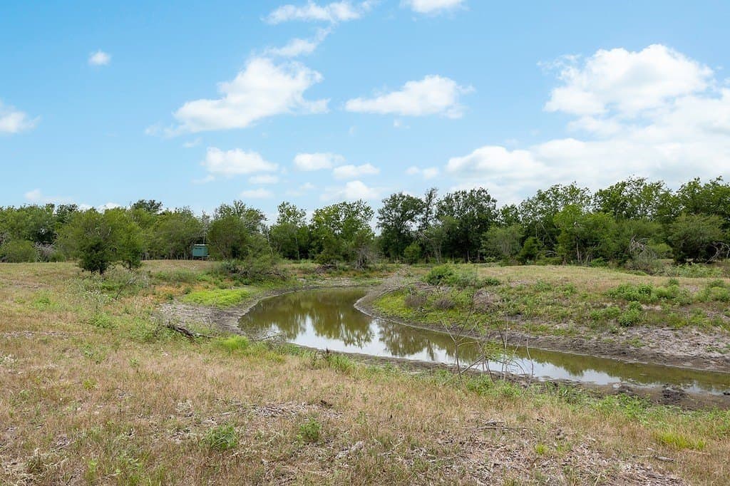 70.9 acres in Austin County - photo 14