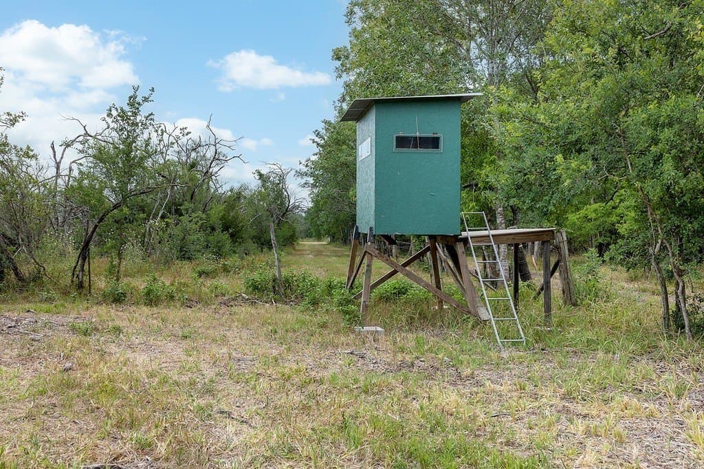 70.9 acres in Austin County - photo 9
