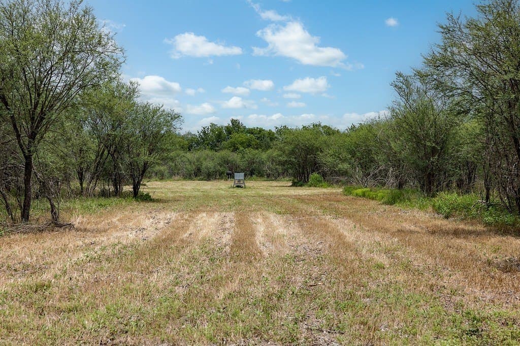 70.9 acres in Austin County - photo 16