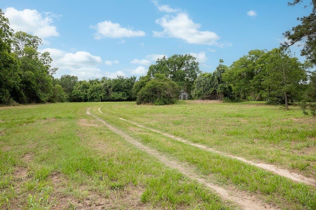 70.9 acres in Austin County featured view