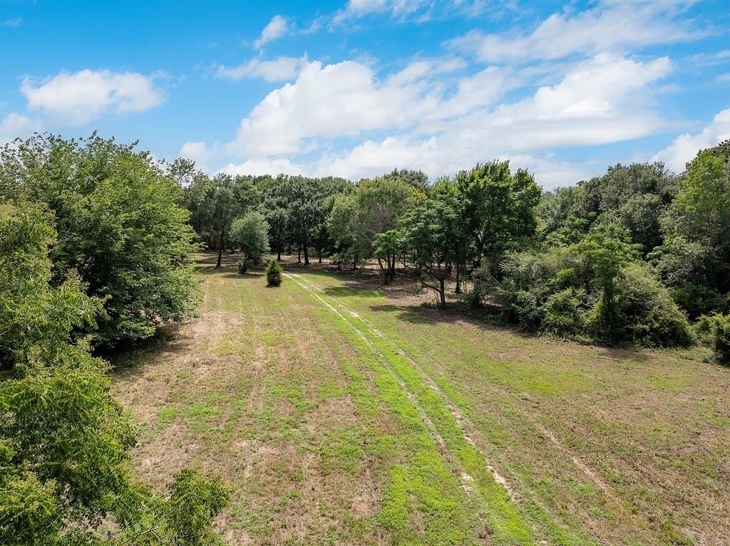 70.9 acres in Austin County - photo 21