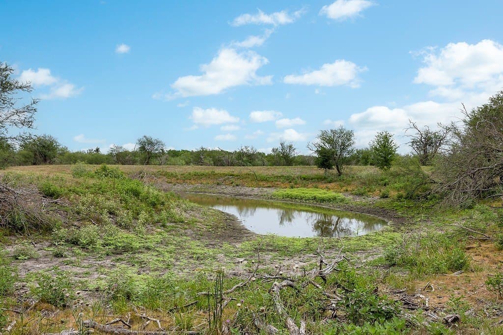 70.9 acres in Austin County - photo 10