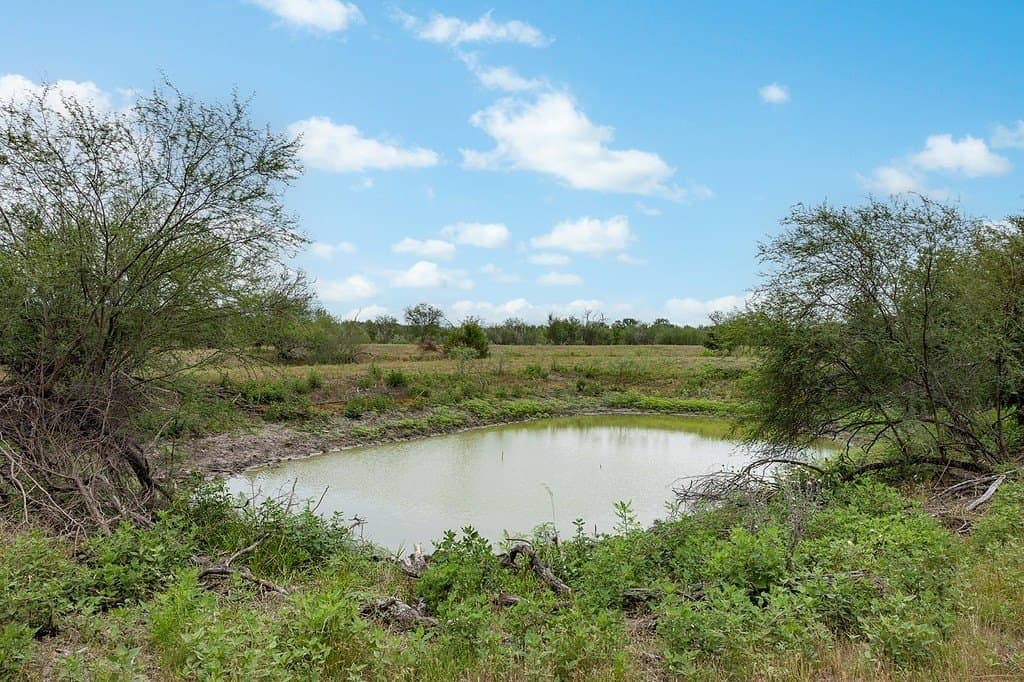 70.9 acres in Austin County - photo 11