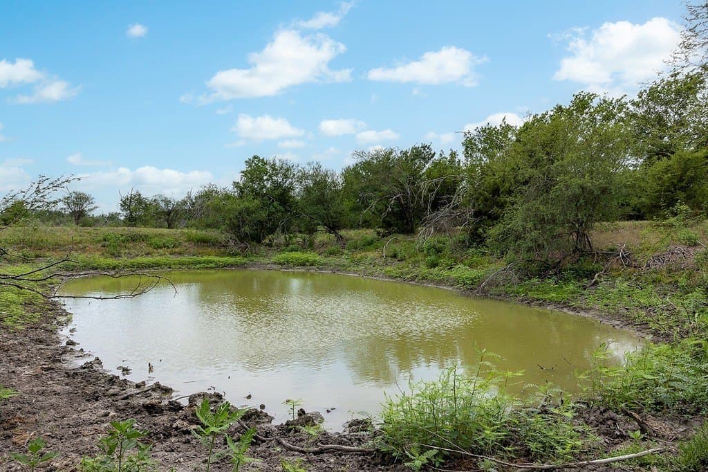 70.9 acres in Austin County - photo 12