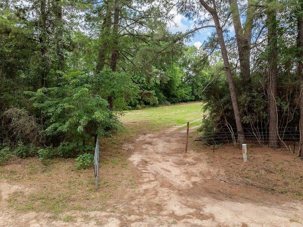 70.9 acres in Austin County - photo 27