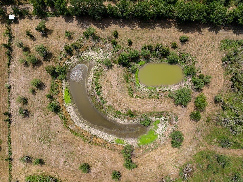 70.9 acres in Austin County - photo 24