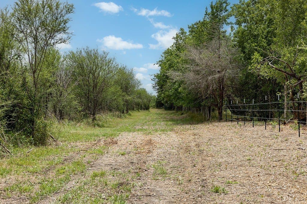 70.9 acres in Austin County - photo 17