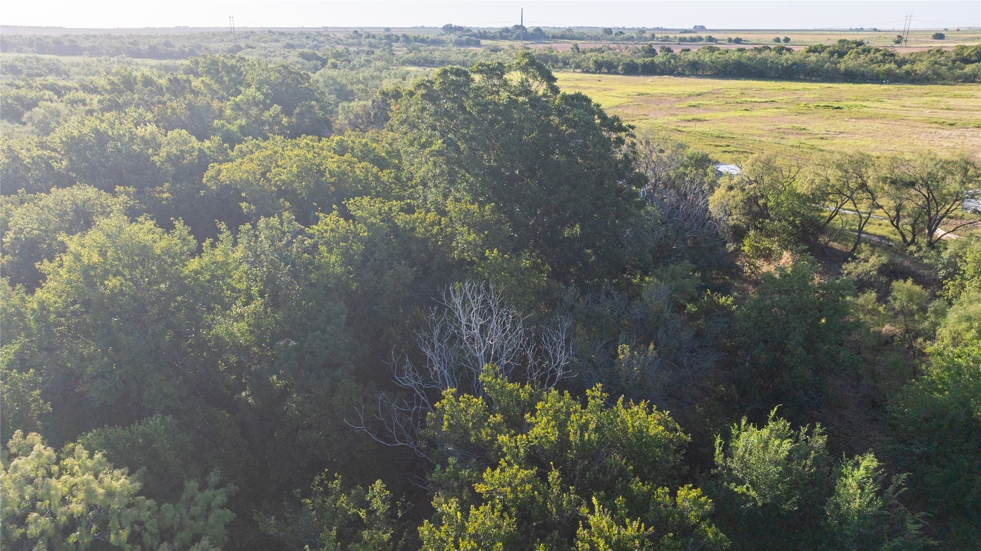 1.5 acres in Runnels County - photo 8