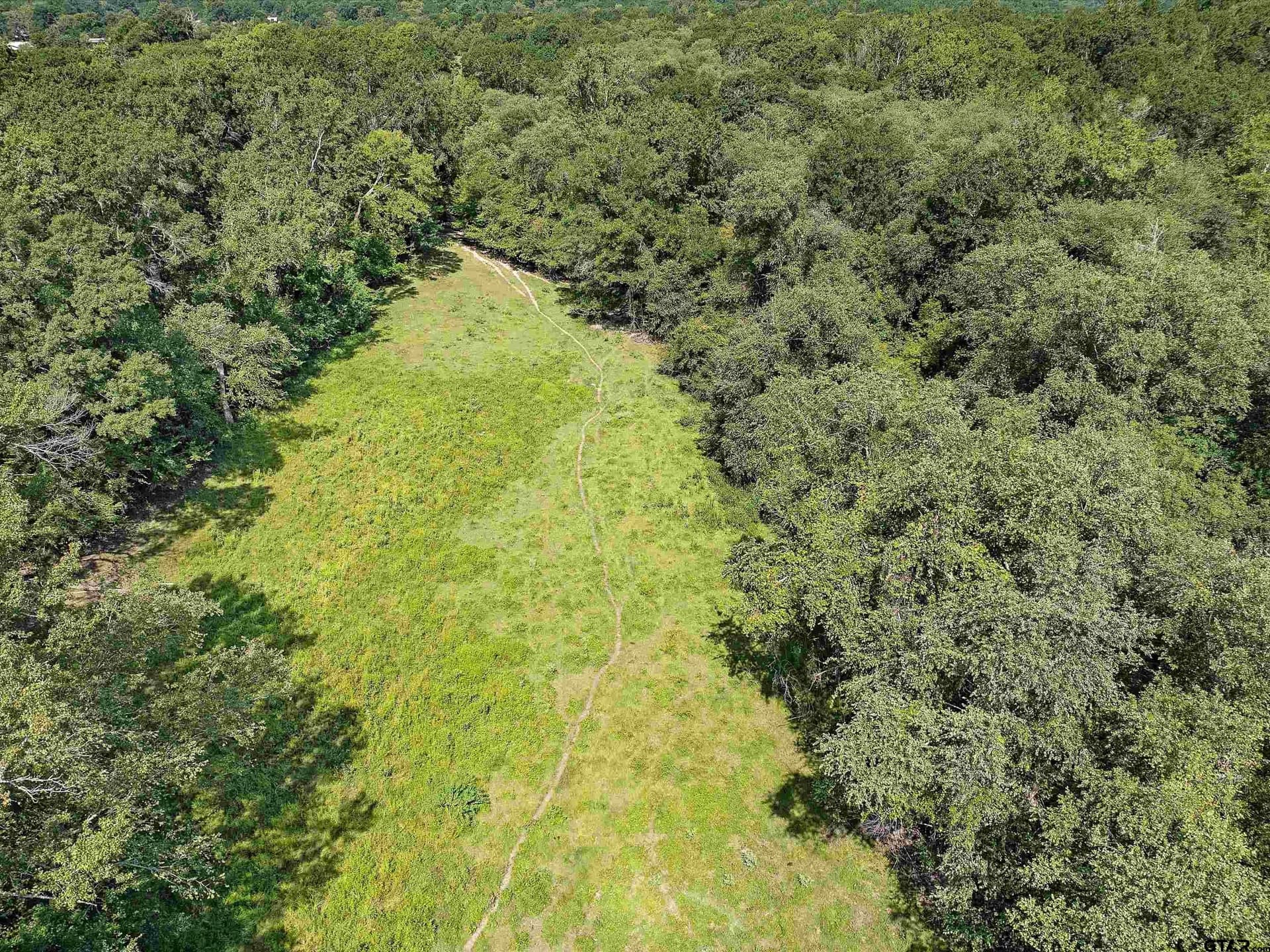 33.7 acres in Rusk County gallery image 4