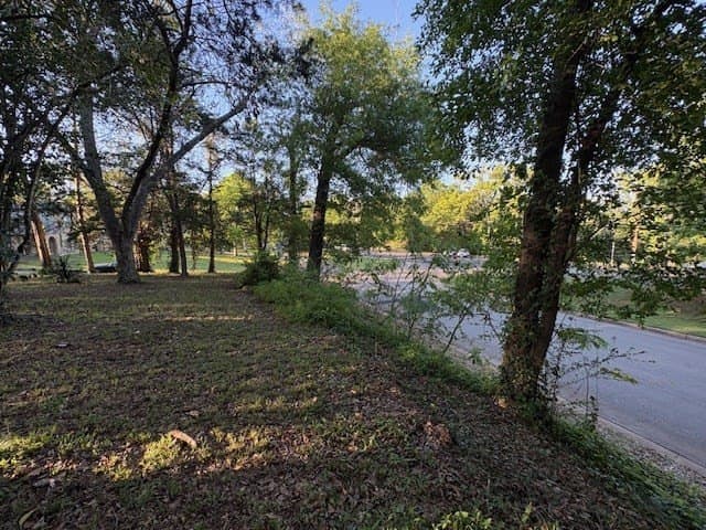 0.41 acres in ANDERSON County - photo 12