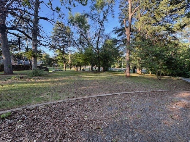 0.41 acres in ANDERSON County - photo 11