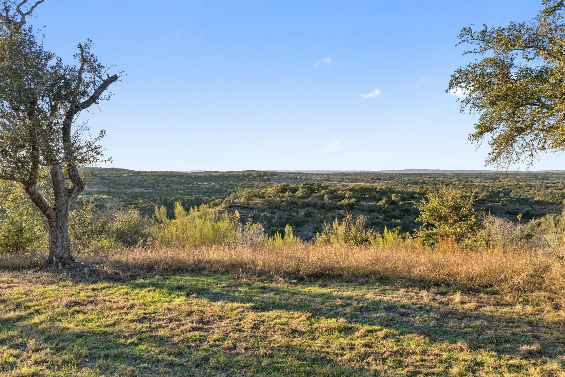 43 acres in Travis County - photo 10