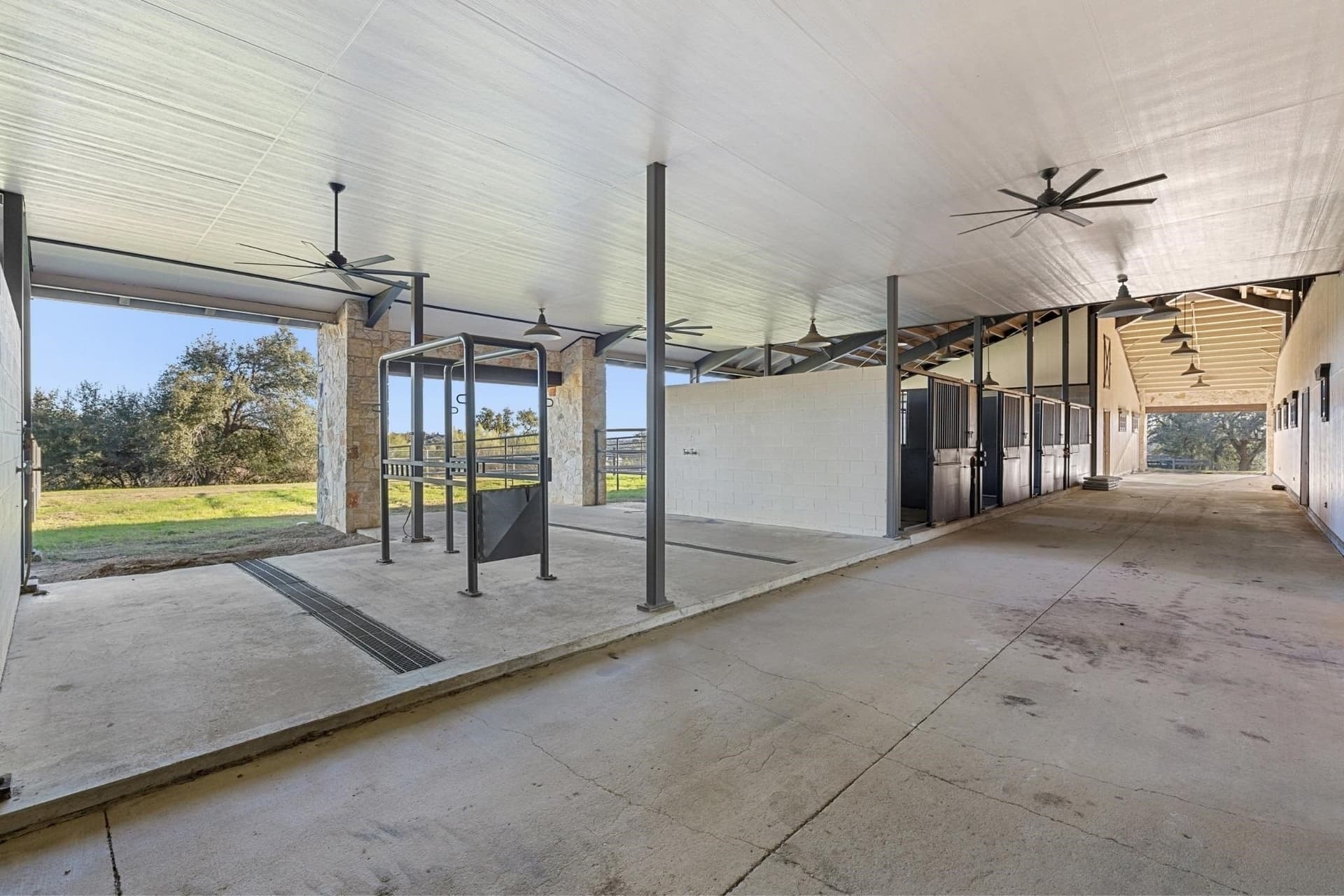 43 acres in Travis County - photo 14