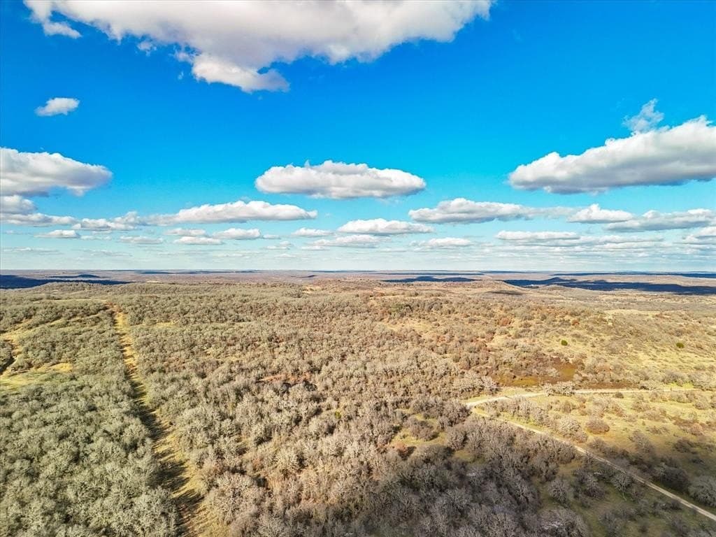 55.8 acres in Jack County gallery image 2