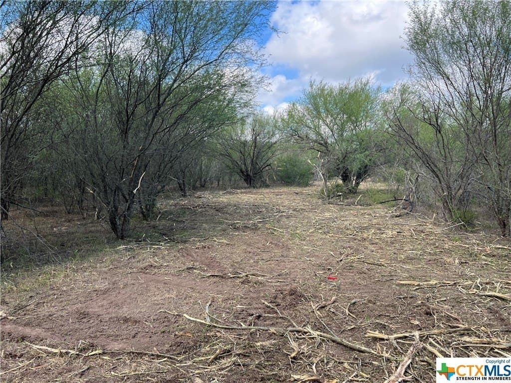 20.71 acres in Texas County - photo 2