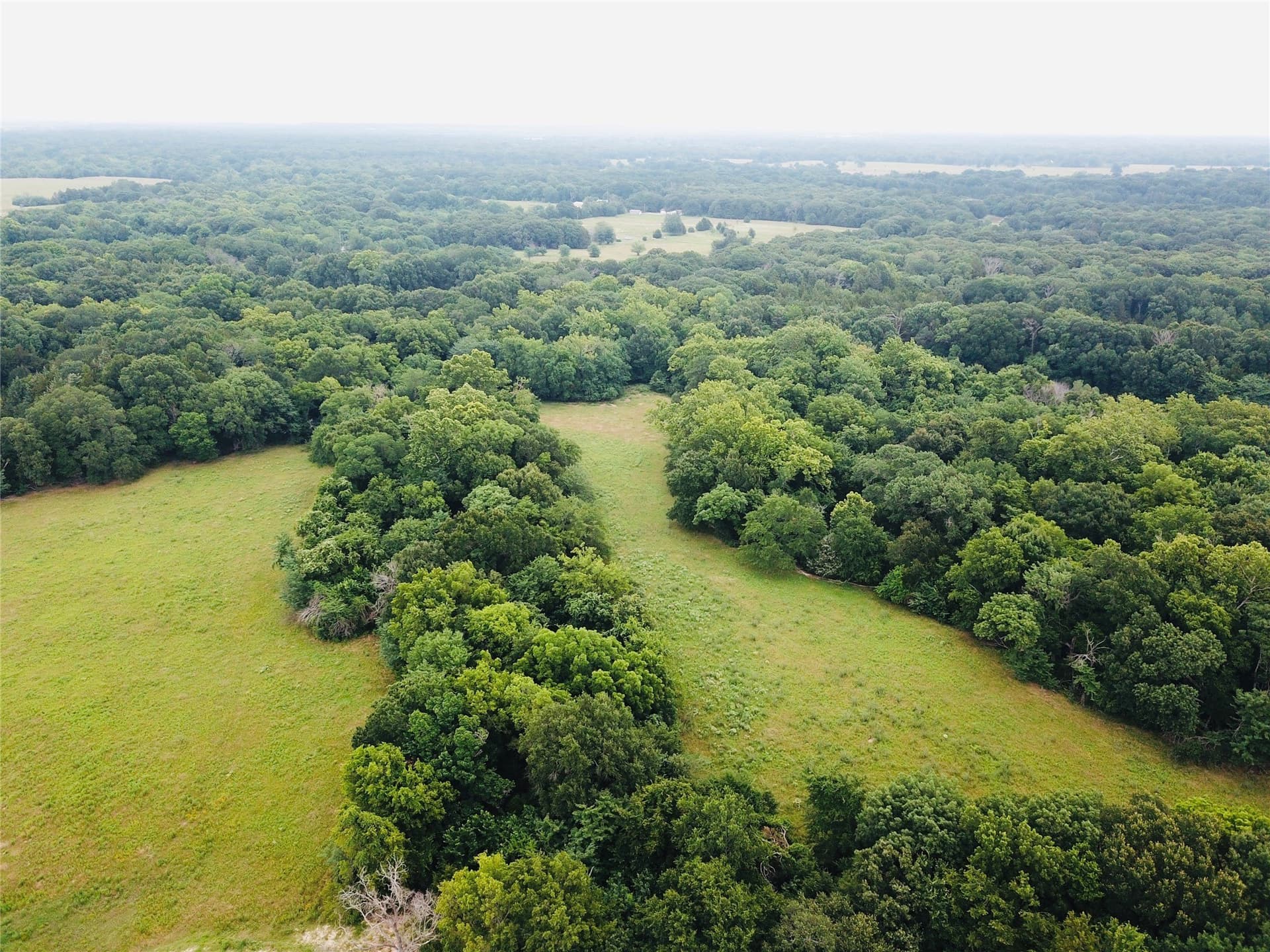 11 acres in Fannin County gallery image 2