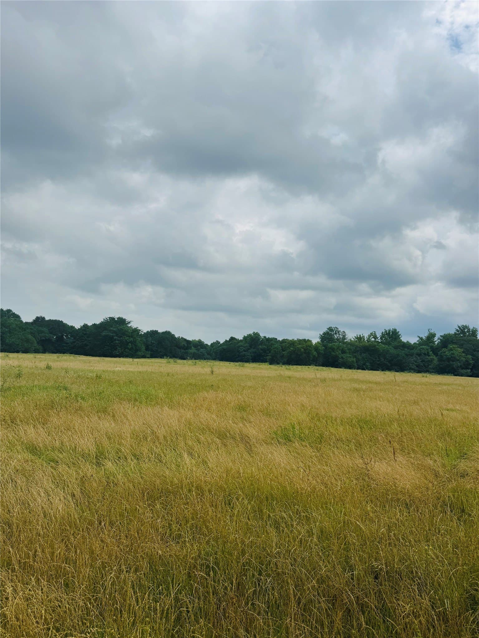 11 acres in Fannin County featured view