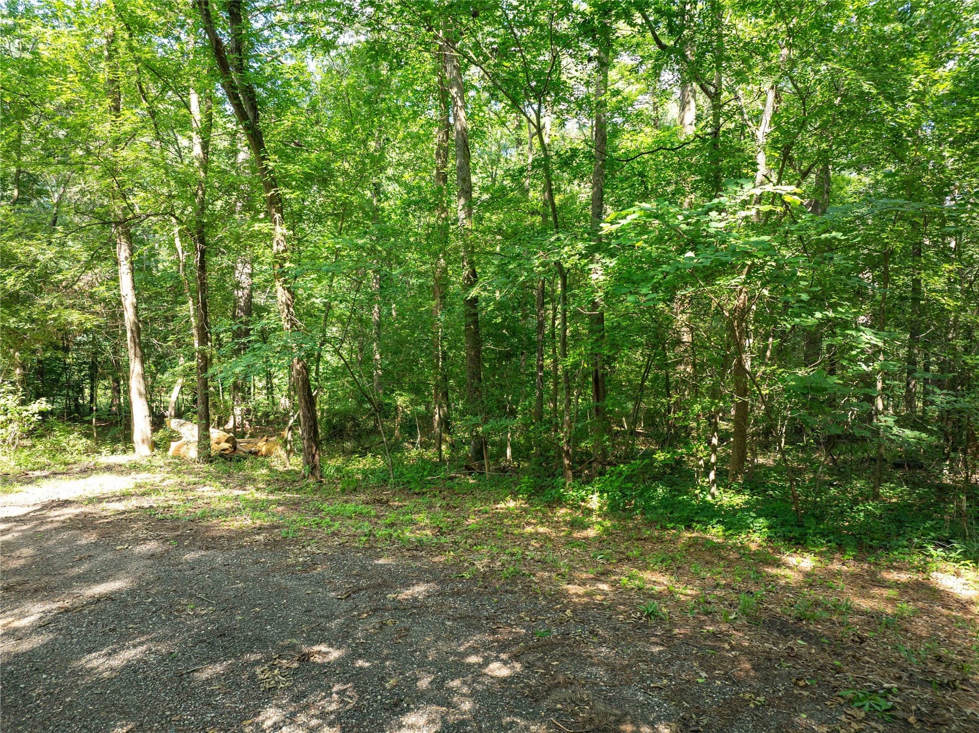 0.1 acres in Franklin (TX) County gallery image 4