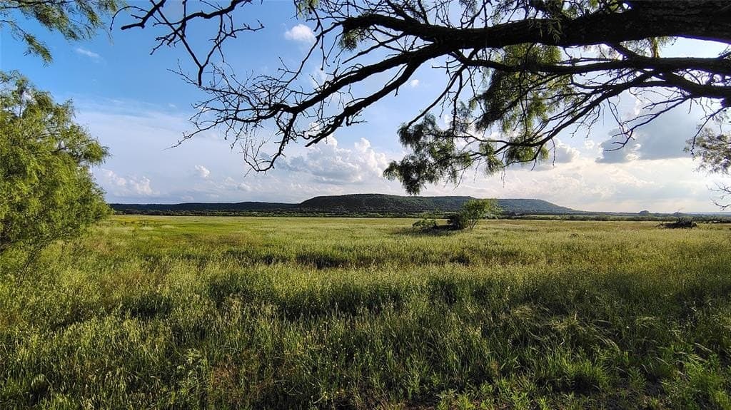 10.1 acres in Callahan County