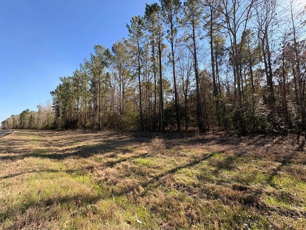 20 acres in Texas County