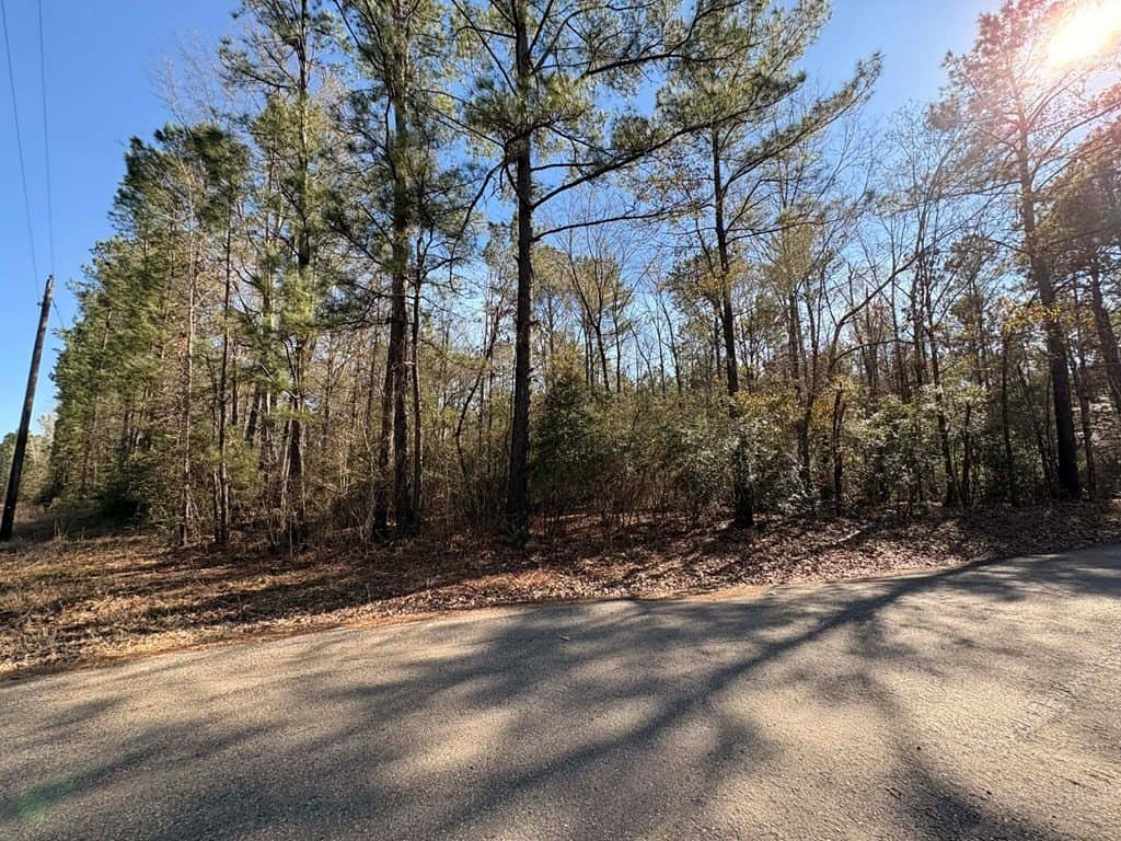 20 acres in Texas County featured view