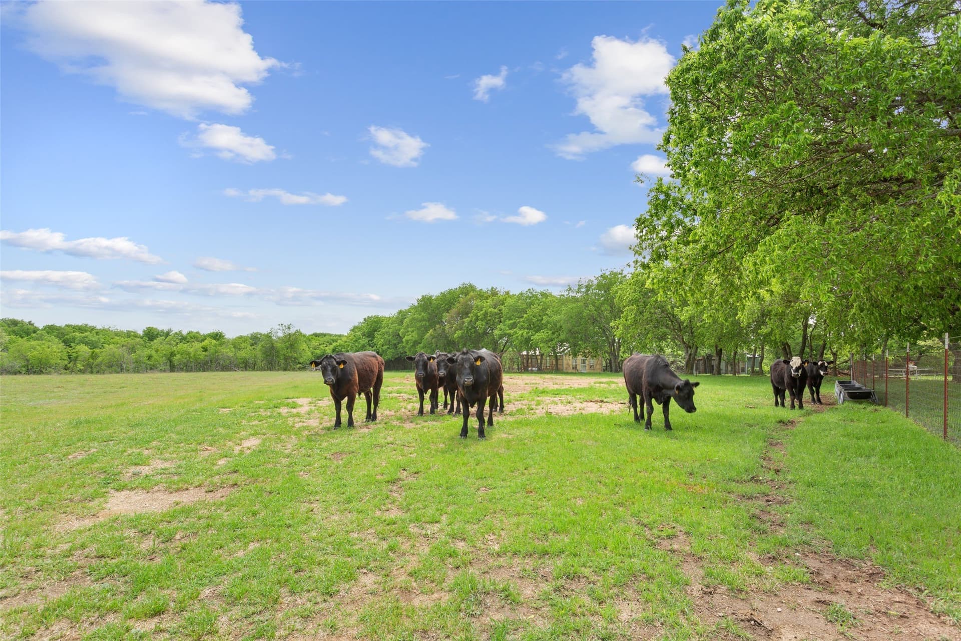 43 acres in Hill County - photo 8