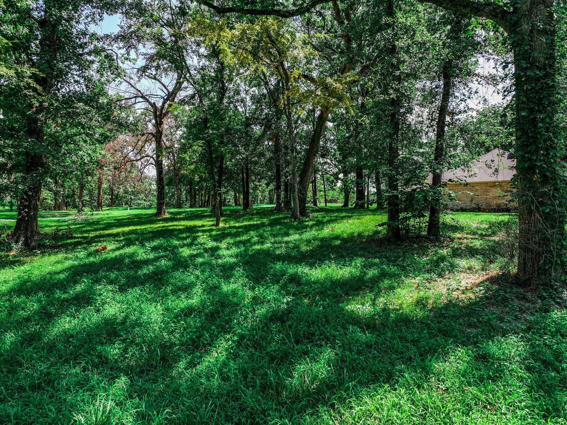 0.32 acres in Henderson County - photo 20